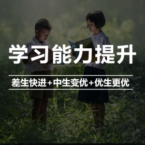 学习能力提升